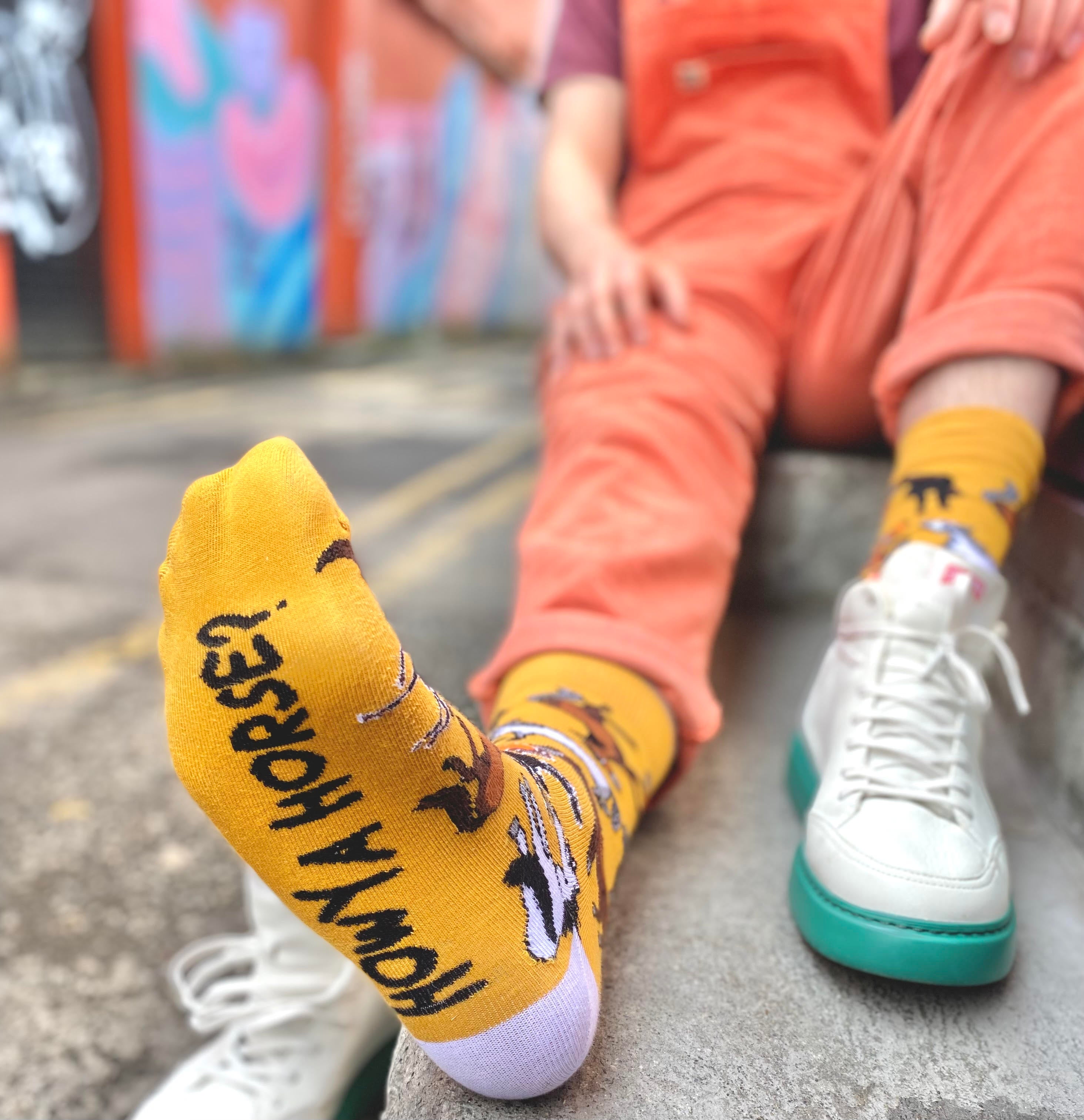 Howya Horse – Irish Socksciety